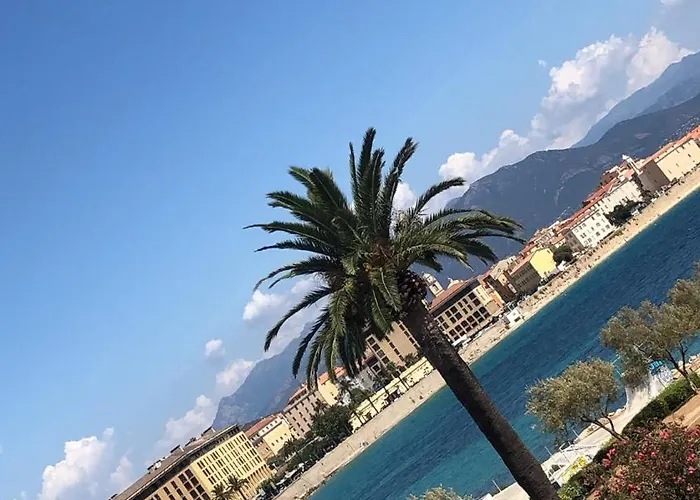 Apartment Bas De Avec Jardin Idealement Situe Entre Ajaccio Et Porticcio *