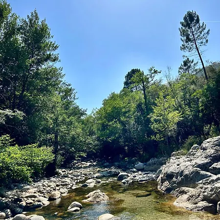 Bas De Avec Jardin Idealement Situe Entre Ajaccio Et Porticcio *
