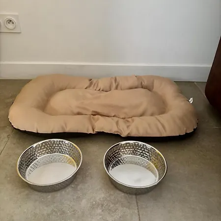 Bas De Avec Jardin Idealement Situe Entre Ajaccio Et Porticcio *