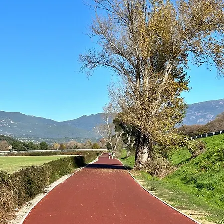 Bas De Avec Jardin Idéalement Situé Entre Ajaccio Et Porticcio *