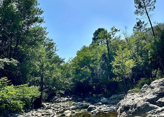 Bas De Avec Jardin Idealement Situe Entre Ajaccio Et Porticcio *