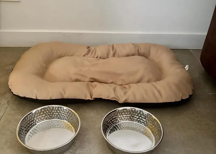 Bas De Avec Jardin Idealement Situe Entre Ajaccio Et Porticcio *