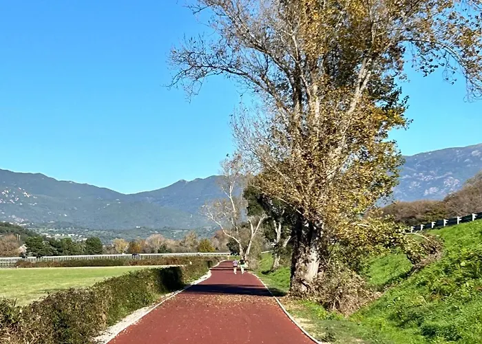 Bas De Avec Jardin Idealement Situe Entre Ajaccio Et Porticcio *
